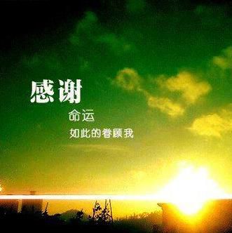 双语美文：什么才是你的成功？