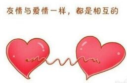 英语美文:相互理解，才能一起生活