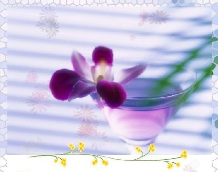 心窗:Today is a gift