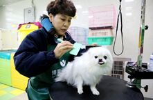 定了！遛狗拴绳入法！新修订《动物防疫法》出炉