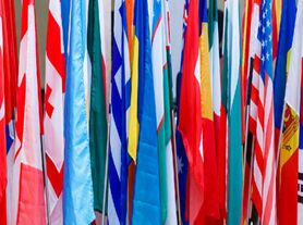 美国国际学生人数锐减