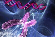 艾滋病有望被治愈！基因编辑成功清除小鼠体内HIV病毒