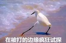 无语！4名中国粉丝为追星，导致300多名乘客重新安检……