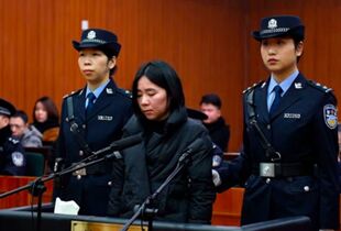 杭州保姆纵火案放火者莫焕晶被执行死刑