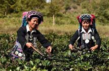 美国专家：减贫将创造出更大市场