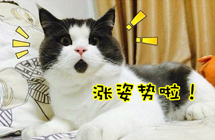 万万没想到！七个让你惊呼“厉害了”的冷知识