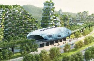 为了对抗污染，中国正在建一座森林城市