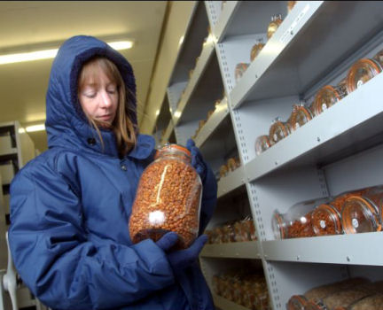 Millennium Seed Bank Project