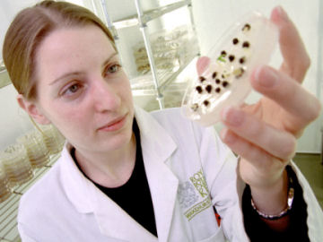 Millennium Seed Bank Project