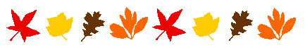 Why Do Leaves Change Color in the Fall?