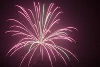 烟花Firework